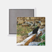 aWorld2祝：黒猫の鑑賞日 マグネット (正面/裏面)