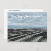 aWorld2:祝キャンケールからの挨拶！ ポストカード (正面/裏面)