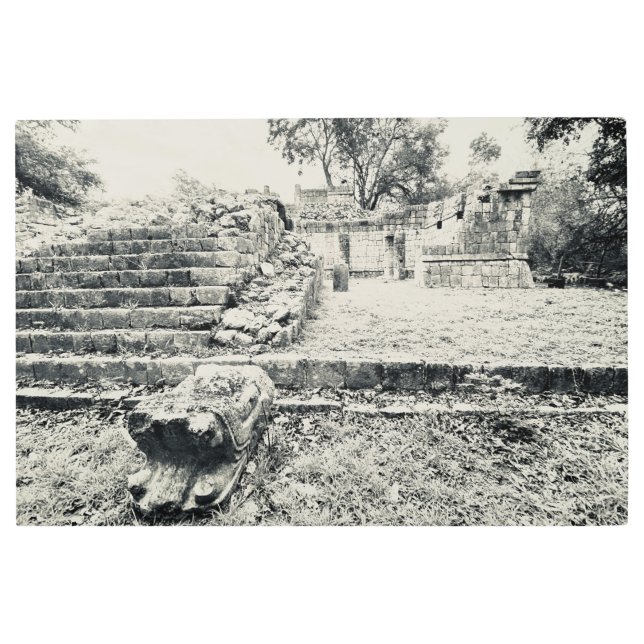 aWorld2:祝サーペントヘッド彫刻メタルPri メタルプリント (正面)