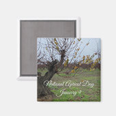 aWorld2:祝国のアプリコットの日 マグネット (正面/裏面)