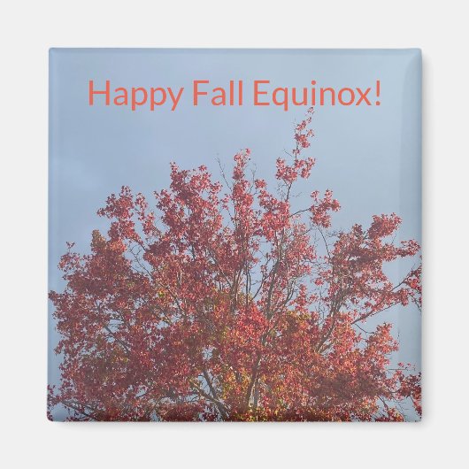 aWorld2:祝秋Equinox マグネット (正面)