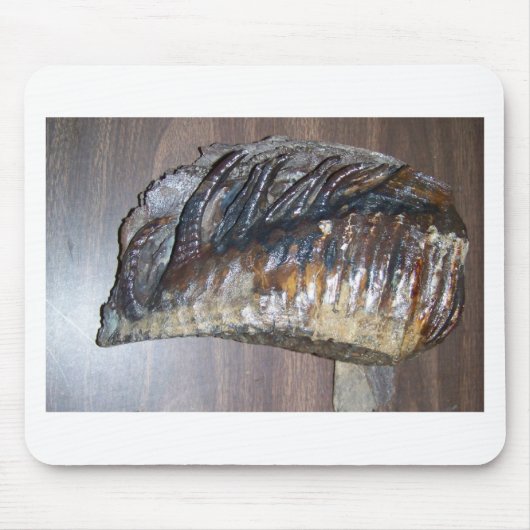 awsome巨大な歯 マウスパッド (正面)