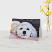 AWW GET WELL CARD カード (黄色い花)