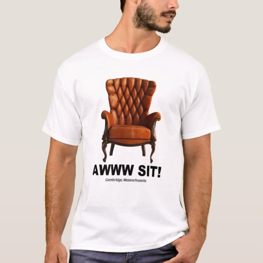 awwsitケンブリッジ・マサチューセッツ・ティー tシャツ (正面)