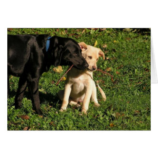 Awww…私は共有するなりますか。