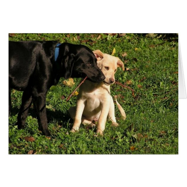 Awww…私は共有するなりますか。 (正面横)