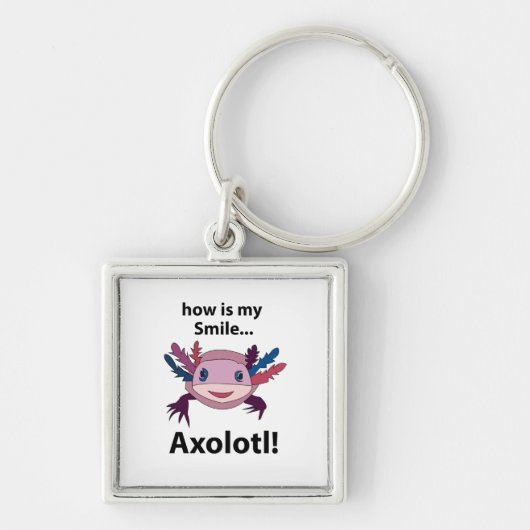 Axolotlどのように私のスマイルおもしろいAxolotl キーホルダー (正面)