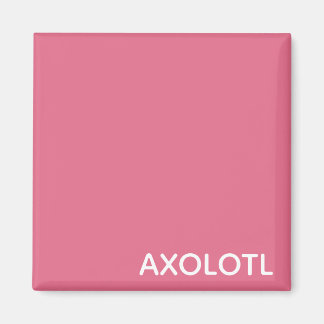 Axolotlピンクの色名 マグネット