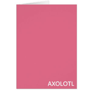 Axolotlピンク色名