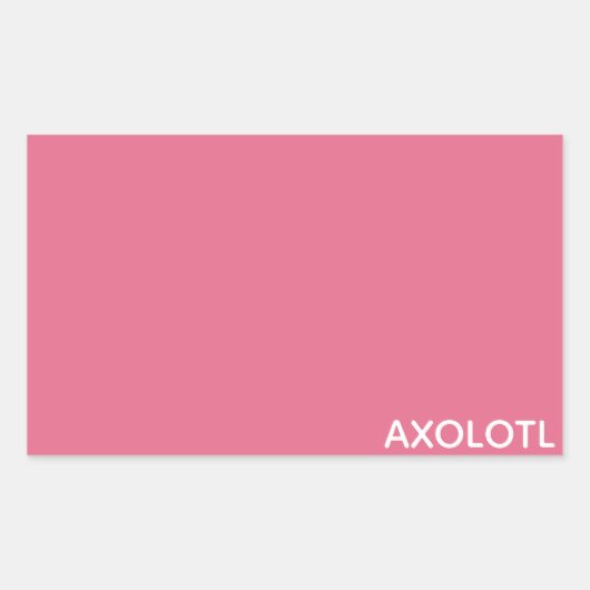 Axolotlピンク色名 長方形シール (正面)