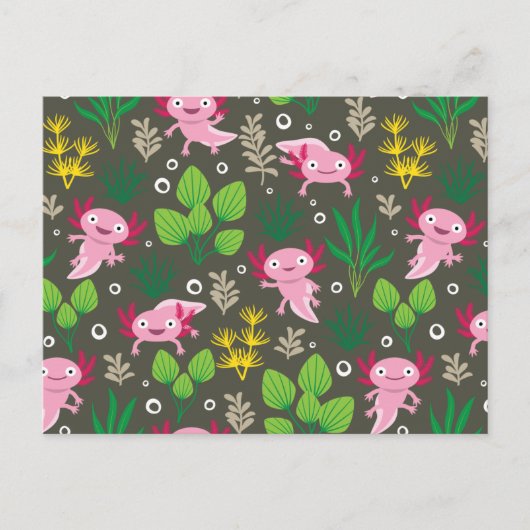 Axolotlポストカード ポストカード (正面)