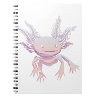 Axolotlリアル ノートブック