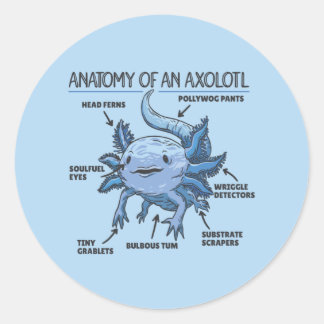 Axolotl説明Axolotlの解剖学クラシック ラウンドシール