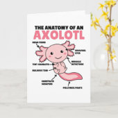 Axolotl説明Axolotlの解剖学 カード (黄色い花)