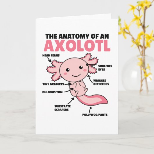 Axolotl説明Axolotlの解剖学 カード (黄色い花)