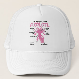 Axolotl説明Axolotlの解剖学 キャップ