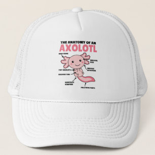 Axolotl説明Axolotlの解剖学 キャップ