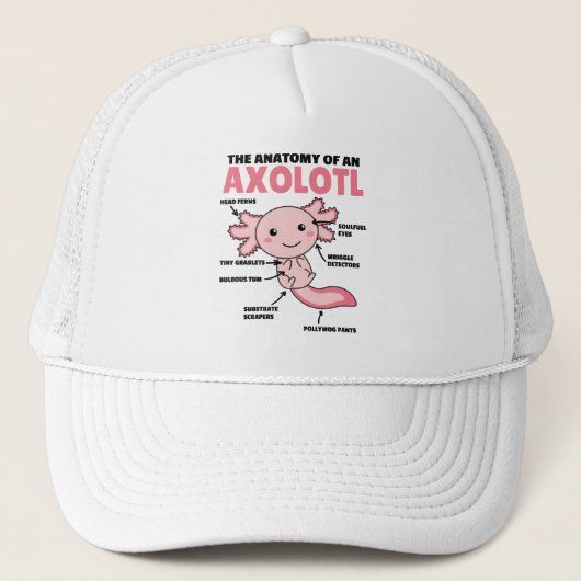 Axolotl説明Axolotlの解剖学 キャップ (正面)