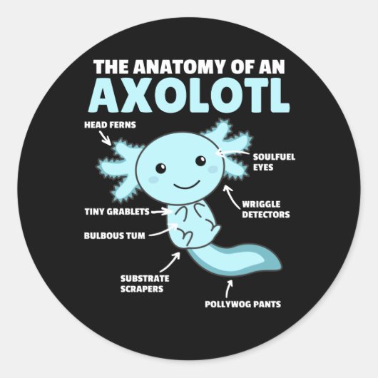 Axolotl説明Axolotlの解剖学 ラウンドシール (正面)