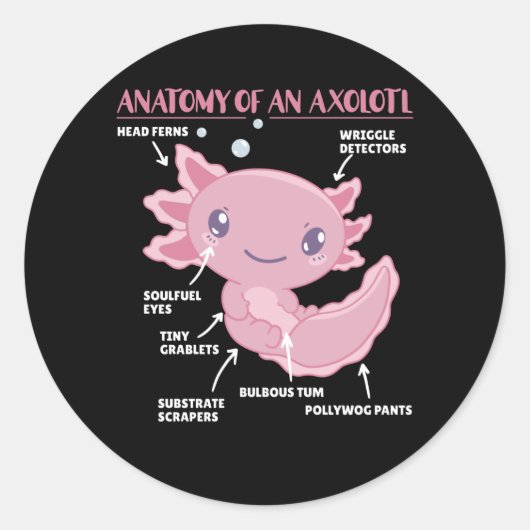 Axolotl説明Axolotlの解剖学 ラウンドシール (正面)