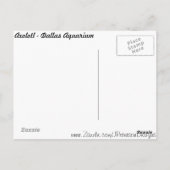 Axolotl # 2 ポストカード (裏面)