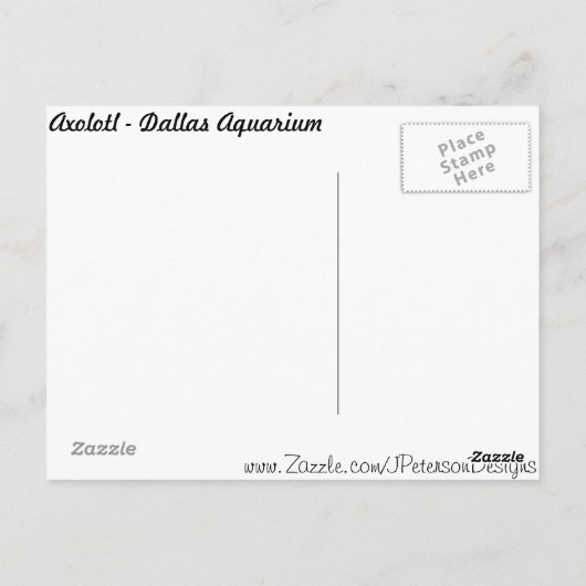 Axolotl # 2 ポストカード (裏面)