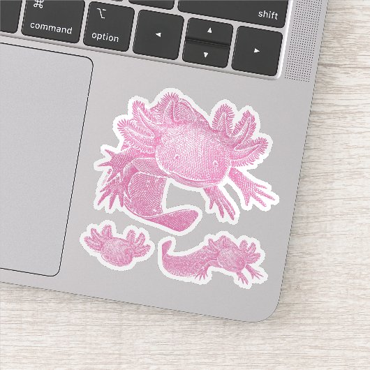 Axolotl Stickers - PINK - 3 Pack シール (詳細)