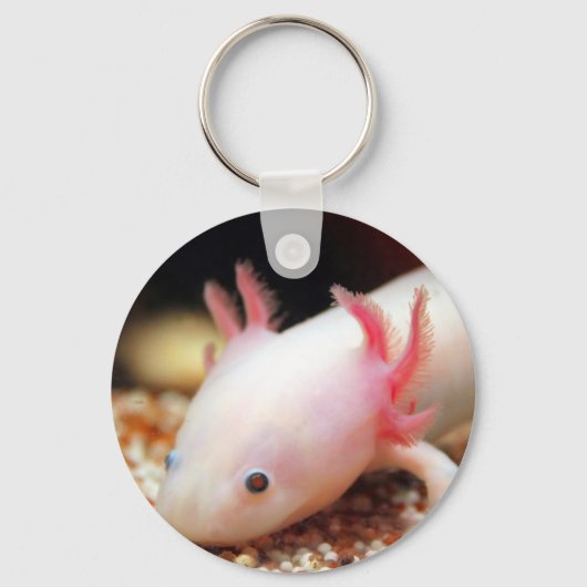 Axolotl Weißling キーホルダー (正面)