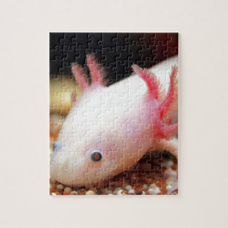 Axolotl Weißling ジグソーパズル