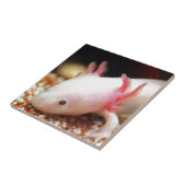 Axolotl Weißling タイル (側面)