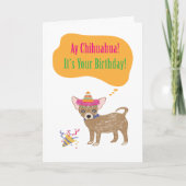 Ay Chihuaha Birthday Card カード (正面)