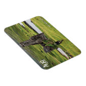 Aye Tours Ardvreckマグネット マグネット (右側)