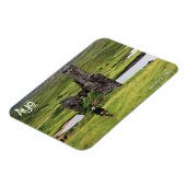 Aye Tours Ardvreckマグネット マグネット (左側)