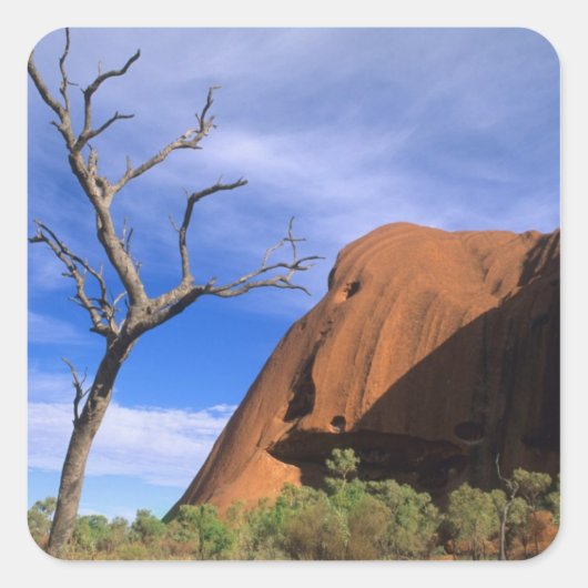 Ayers Rock Uluru in the Outbackオーストラリア スクエアシール (正面)
