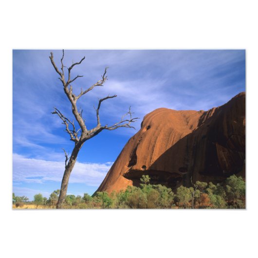 Ayers Rock Uluru in the Outbackオーストラリア フォトプリント (正面)