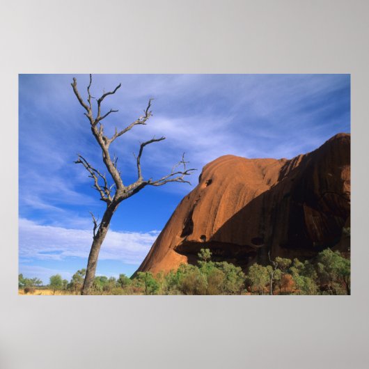 Ayers Rock Uluru in the Outbackオーストラリア ポスター (正面)