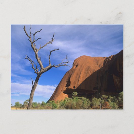Ayers Rock Uluru in the Outbackオーストラリア ポストカード (正面)