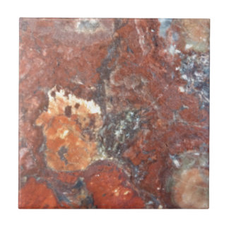 AZの化石木 タイル