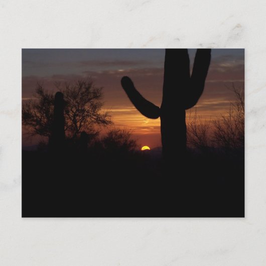 AZサンセット1 ポストカード (正面)