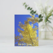 AZ葉, Oak Creek,セドナ ポストカード (スタンド正面)