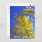 AZ葉, Oak Creek,セドナ ポストカード (正面/裏面)