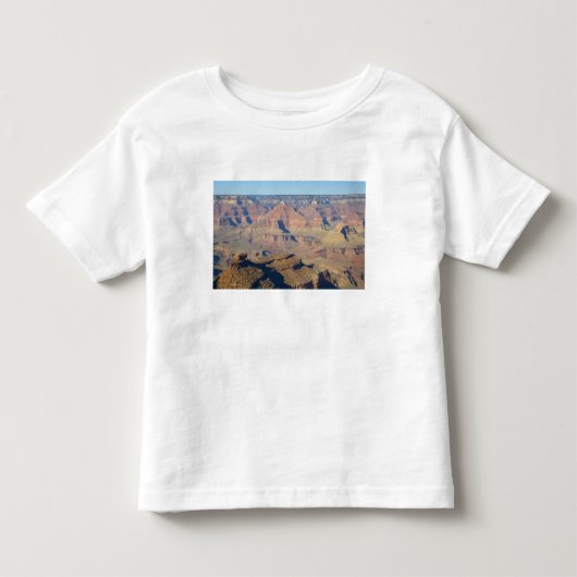 AZ, アリゾナ州, グランドキャニオン国立公園, サウス3 トドラーTシャツ (正面)