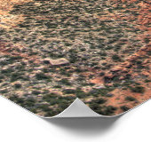 AZ，アリゾナ，グランドキャニオン国立公園，南2 ポスター (角)