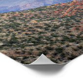 AZ，アリゾナ，グランドキャニオン国立公園，南6 ポスター (角)