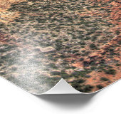 AZ，アリゾナ，グランドキャニオン国立公園，南 フォトプリント            (角)