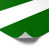 Azad Kashmir state flag symbol Pakistan ポスター (角)