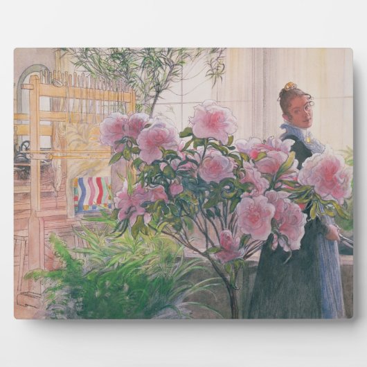 Azalea、1906年(紙付き) フォトプラーク (正面)