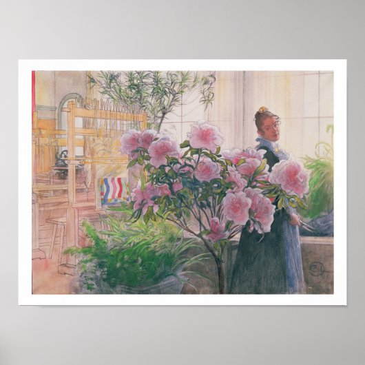 Azalea、1906年(紙付き) ポスター (正面)