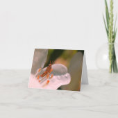 Azalea Flower And Grasshopper Personalized Note カード (正面)