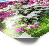 Azalea Viewing [Premium Silver Salt Paper] フォトプリント (角)